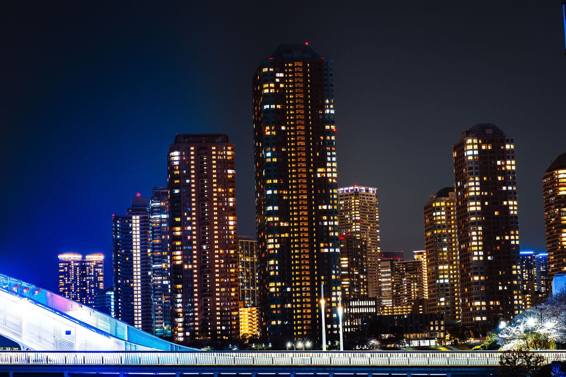 Premium Tokyo Skyline